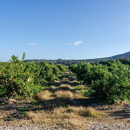 El Limonar De Mallorca - Agroturismo Ballerics Luaran gambar